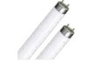 Thumbnail TUBO FLUORESCENTE PHILIPS 36W X25UN0