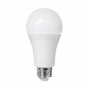 Thumbnail FOCO LED BULB GLOBO FRIA 18W X 100UN0